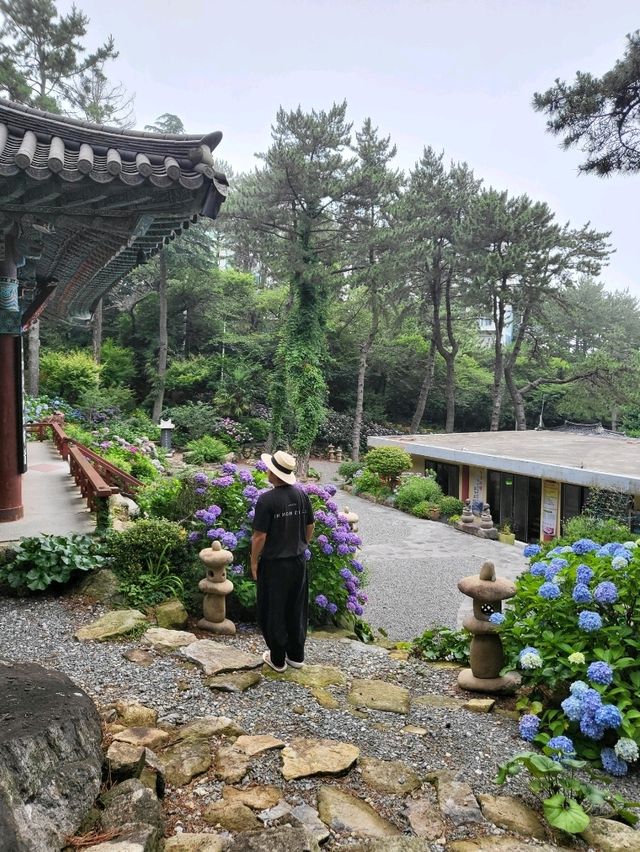 소원을 들어주는 돌이 있는 수국 사찰