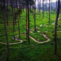 A Blooming Paradise in Bandung
