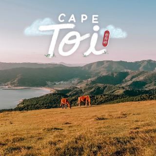 漫步海濱草原與綠林
