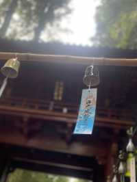 【栃木/日光】夏の「二荒山神社」⛩️🎐