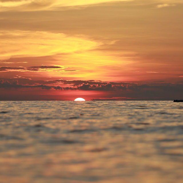 Exploring the Depths: Monkey Bay's Underwater Wonderland
