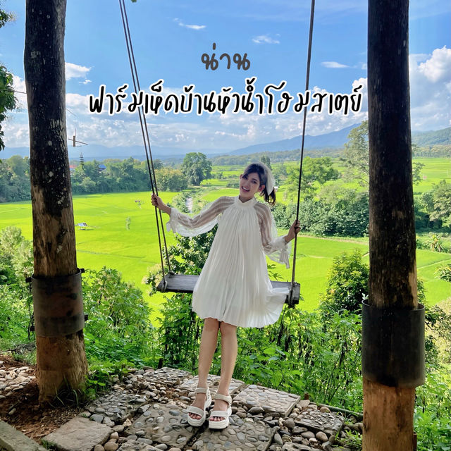 ฟาร์มเห็ดบ้านหัวน้ำ #ปัว #น่าน 