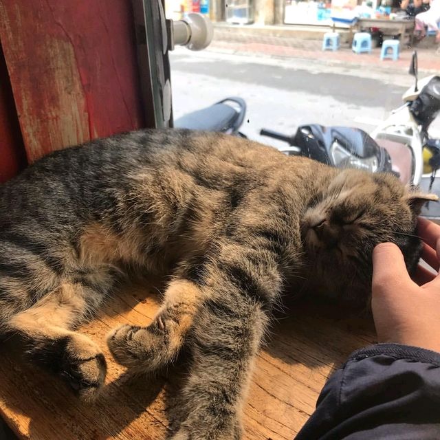 BASTET’S HOME COFFEE