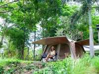 ภูผา ป่าสน ราชบุรี