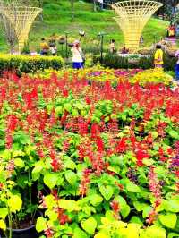 Beautiful Garden in Betong