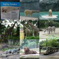 🦦🦧🦍🐟🐗新加坡奇妙野生動物園🦒🦘🐘🦚🐿️