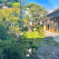 【安心院】すっぽんの量の多さに感動✨有名すっぽん旅館✨