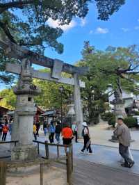 후쿠오카 근교 여행 필수코스! 다자이후 천만궁⛩️
