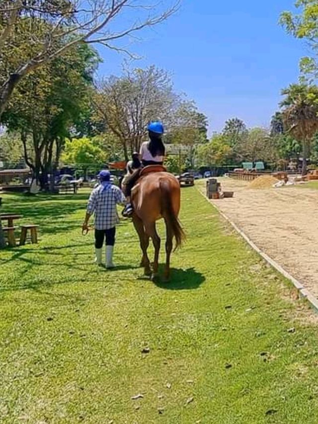 แลนด์มาร์คเขาใหญ่ Rancho Charnvee