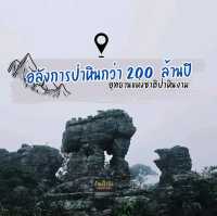 ป่าหินในสายหม่านหมอก