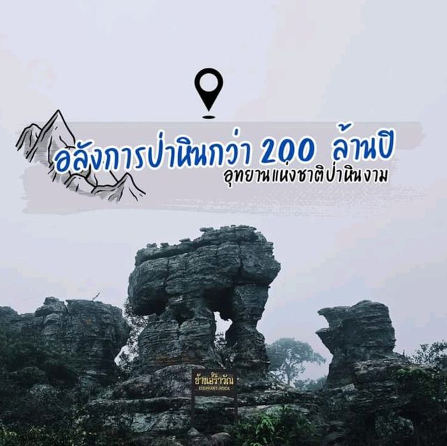 ป่าหินในสายหม่านหมอก