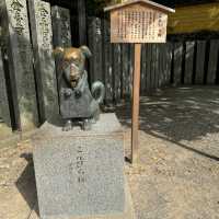【香川】785段を上ってご利益をいただこう！