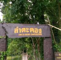 โบกรถ..ขึ้นอุทยานแห่งชาติเขาใหญ่