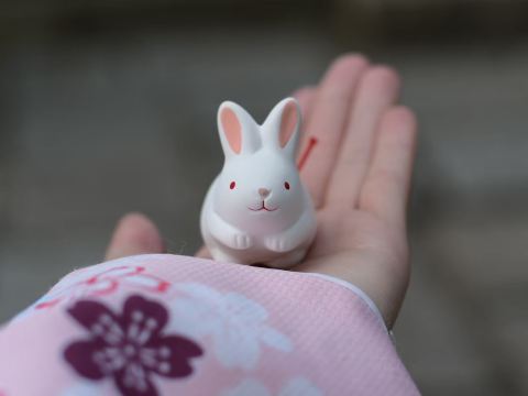 🇯🇵】うさぎだらけのパワースポット！東天王 岡﨑神社🐇 | Trip.com 京都