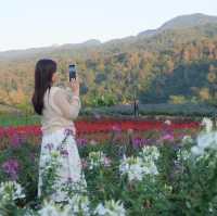 ไร่ภูผาหมวก ที่พักแสนสงบกลางทุ่งดอกไม้และสายหมอก