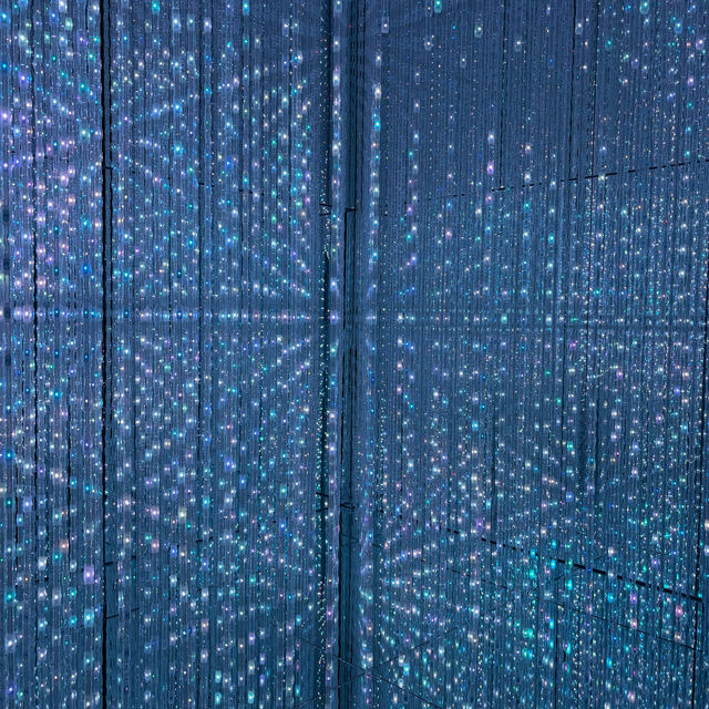 Teamlab Borderless ✨