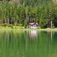 Jacks Lake：湖光山色淨土，享受大自然之美