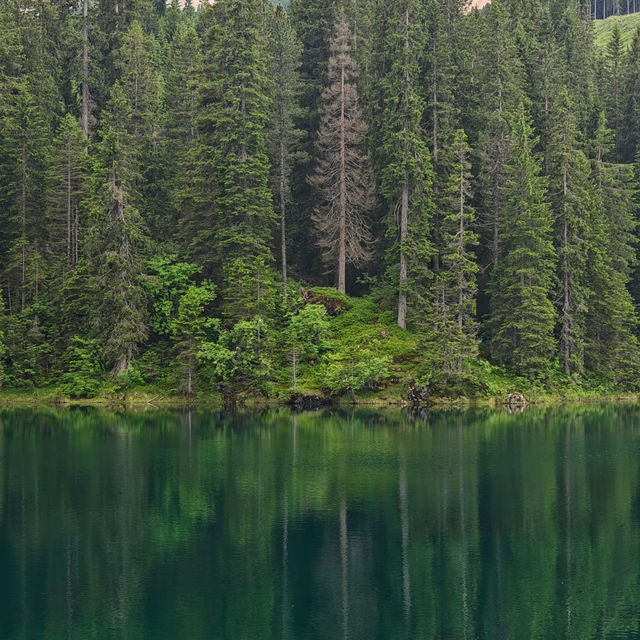 Jacks Lake：湖光山色淨土，享受大自然之美