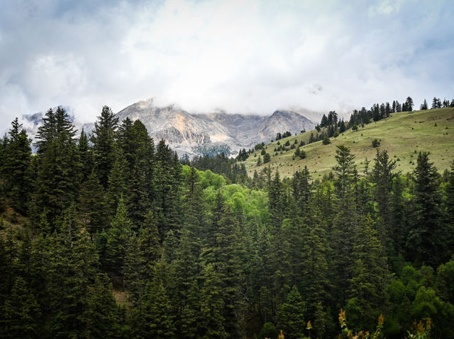 🇨🇳 Don’t miss this breathtaking hike in Genie Mountain in Western Sichuan