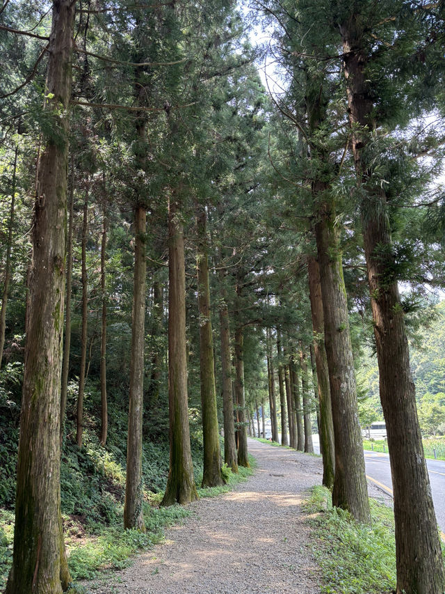푸릇푸릇한 자연과 복합문화를 동시에 즐겨요❤️