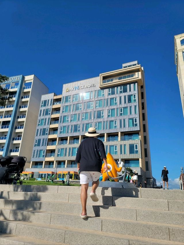 머드축제로 핫한 보령 대천해수욕장🏖