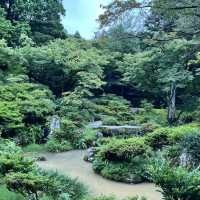 【京都】修学院離宮の豊かな自然を楽しもう🌲