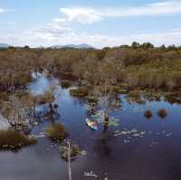 พายคายัคชมป่าเสม็ดโบราณ ที่สวนพฤกษศาสตร์ระยอง🚣🌳