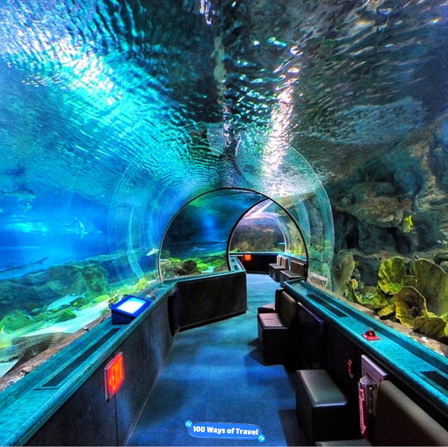 🇲🇾 Underwater World Langkawi: Your Gateway to Ocean Adventures