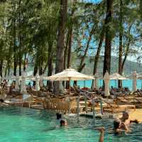 Pine Beach Bar