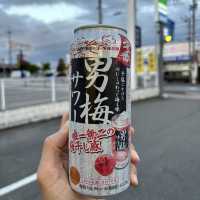 四國遍路+瀨戶內海單車遊