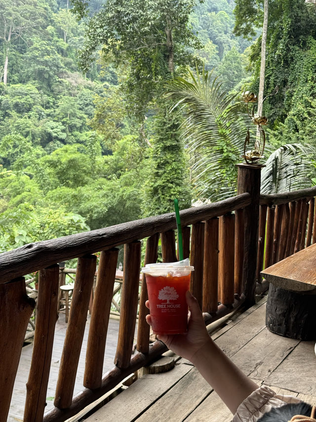บ้านต้นไม้แม่แมะ | เชียงใหม่ 🏡⛰️🌧️🌿