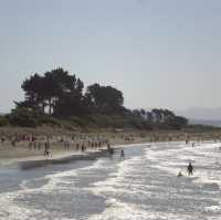 "Napier Marine Parade: Coastal Charm and Scenic Beauty in New Zealand"