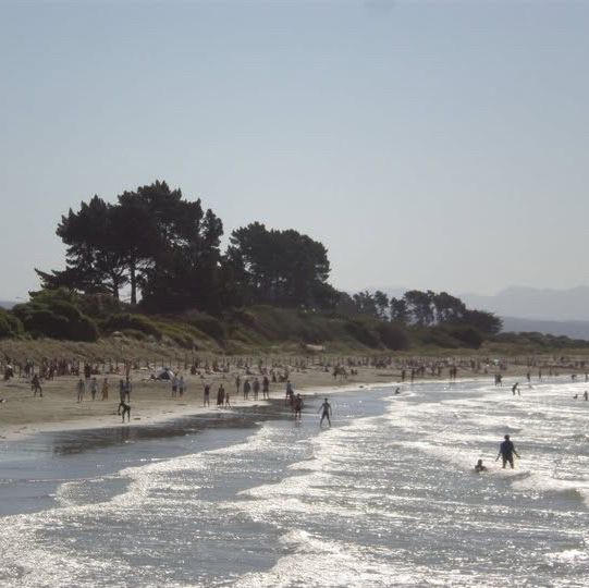 "Napier Marine Parade: Coastal Charm and Scenic Beauty in New Zealand"