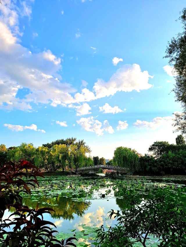 Fun Day at Zizhuyuan Park