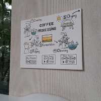 Nana Coffee Roasters Bangna