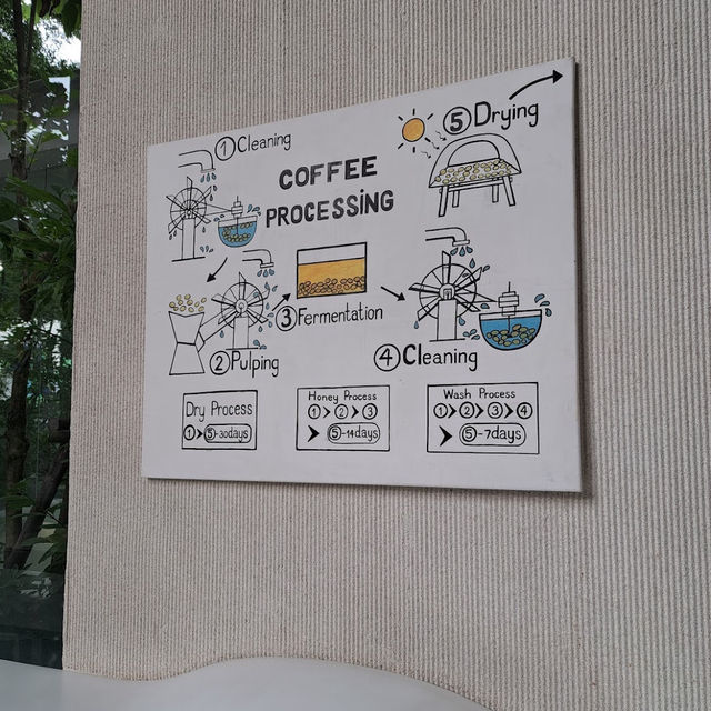 Nana Coffee Roasters Bangna