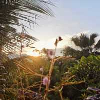 "Serenity in Green: The Enchanting Forest Views of Penang Hill"