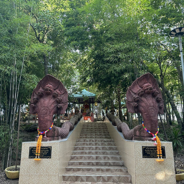 Camping @เขาพระยาเดินธง⛰️#100วิธีเที่ยว