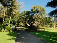 Royal Botanic Garden Sydney