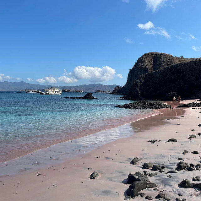 Blushing Shores: Falling in Love with Komodo's Pink Beach