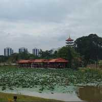 Serene Strolls in Singapore's Chinese Garden