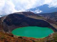 Discover the Heart of Tohoku’s Scenic Beauty and Culture