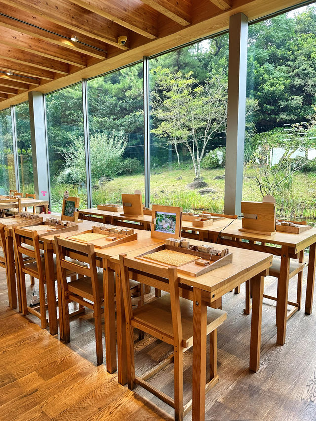 Experience the essence of Jeju @ Innisfree House 🇰🇷 