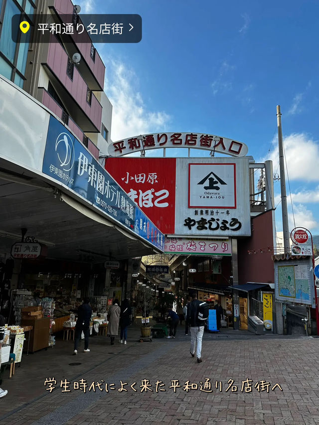 【📍熱海】電車で途中下車して熱海を散策🚶‍♀️学生ぶりに歩いてみたからスポット紹介✨都内からも近くてオススメ