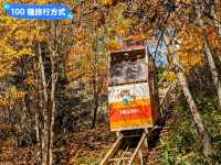 北海道賞楓-壯闊遼麗的定山溪豐平峽水壩