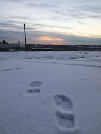【バーナビー🇨🇦】カナダの田舎で雪景色を❄️