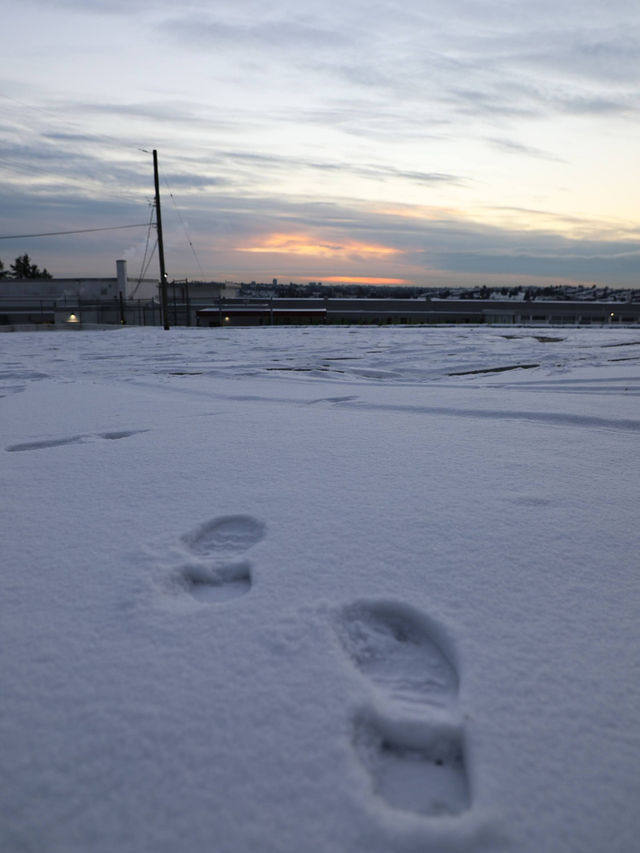 【バーナビー🇨🇦】カナダの田舎で雪景色を❄️