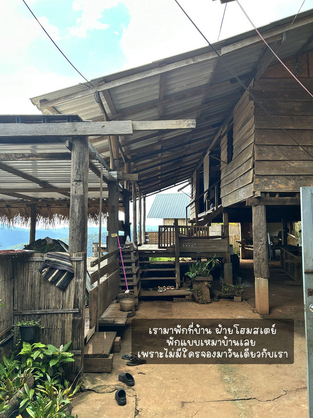 🏠กำเงินคนละ 799 พักบ้านฝ้ายโฮมสเตย์ ห้วยกุ๊บกั๊บ