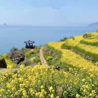 Darangyi Village - Yellow color