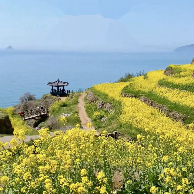 Darangyi Village - Yellow color